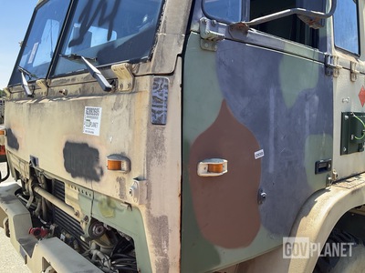 General Appearance with Paint