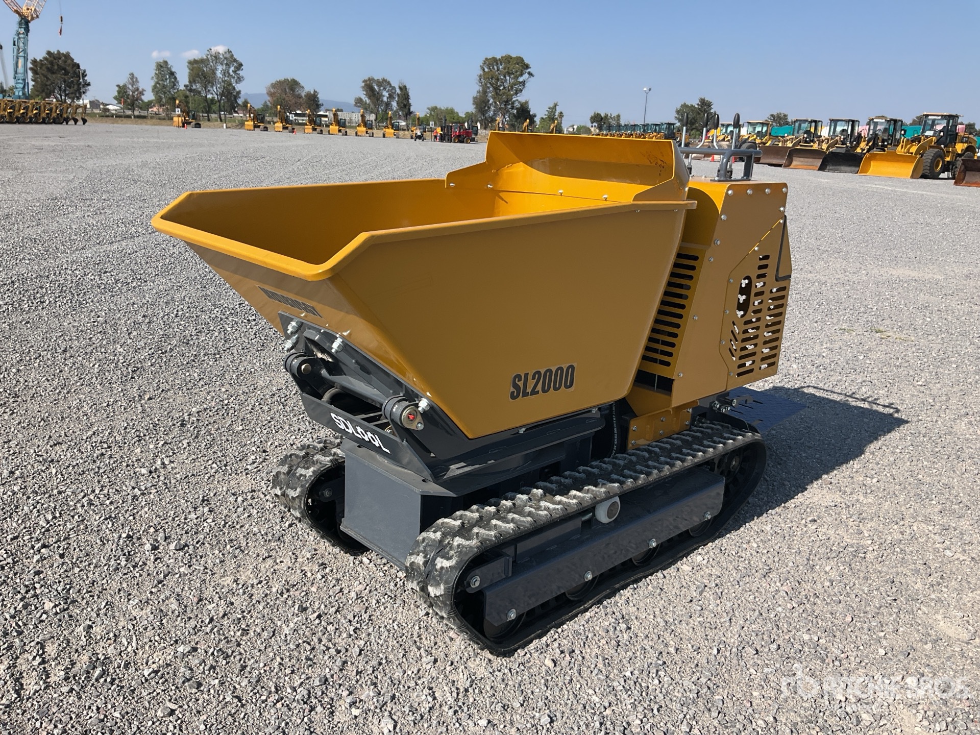 General Appearance with Featured Photo