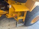 General Appearance with Steps/Ladders