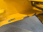 General Appearance with Paint