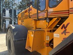 General Appearance with Paint