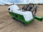 General Appearance with Paint