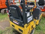 General Appearance with Paint