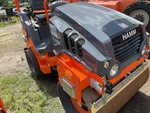General Appearance with Paint