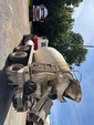 Picture, Left Rear Corner