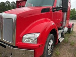 General Appearance with Pintura