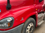 General Appearance with Pintura