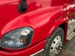 General Appearance with Pintura