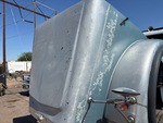 General Appearance with Pintura