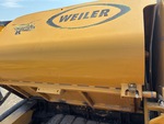 General Appearance with Paint