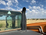 Engine with Exhaust System