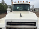 General Appearance with Paint
