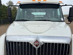 General Appearance with Paint