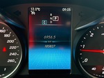 General Appearance with Laufleistung