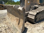 General Appearance with Paint