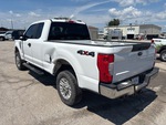 Picture, Left Rear Corner