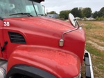 General Appearance with Paint