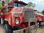 General Appearance with Paint