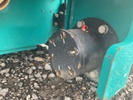 Drivetrain with Drive Motors