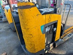 General Appearance with Paint