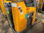 General Appearance with Paint