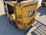 General Appearance with Paint