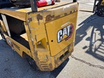 General Appearance with Paint