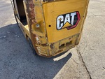 General Appearance with Paint