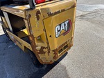 General Appearance with Paint
