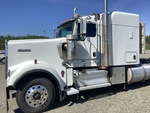 General Appearance with Paint