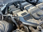 Motore with