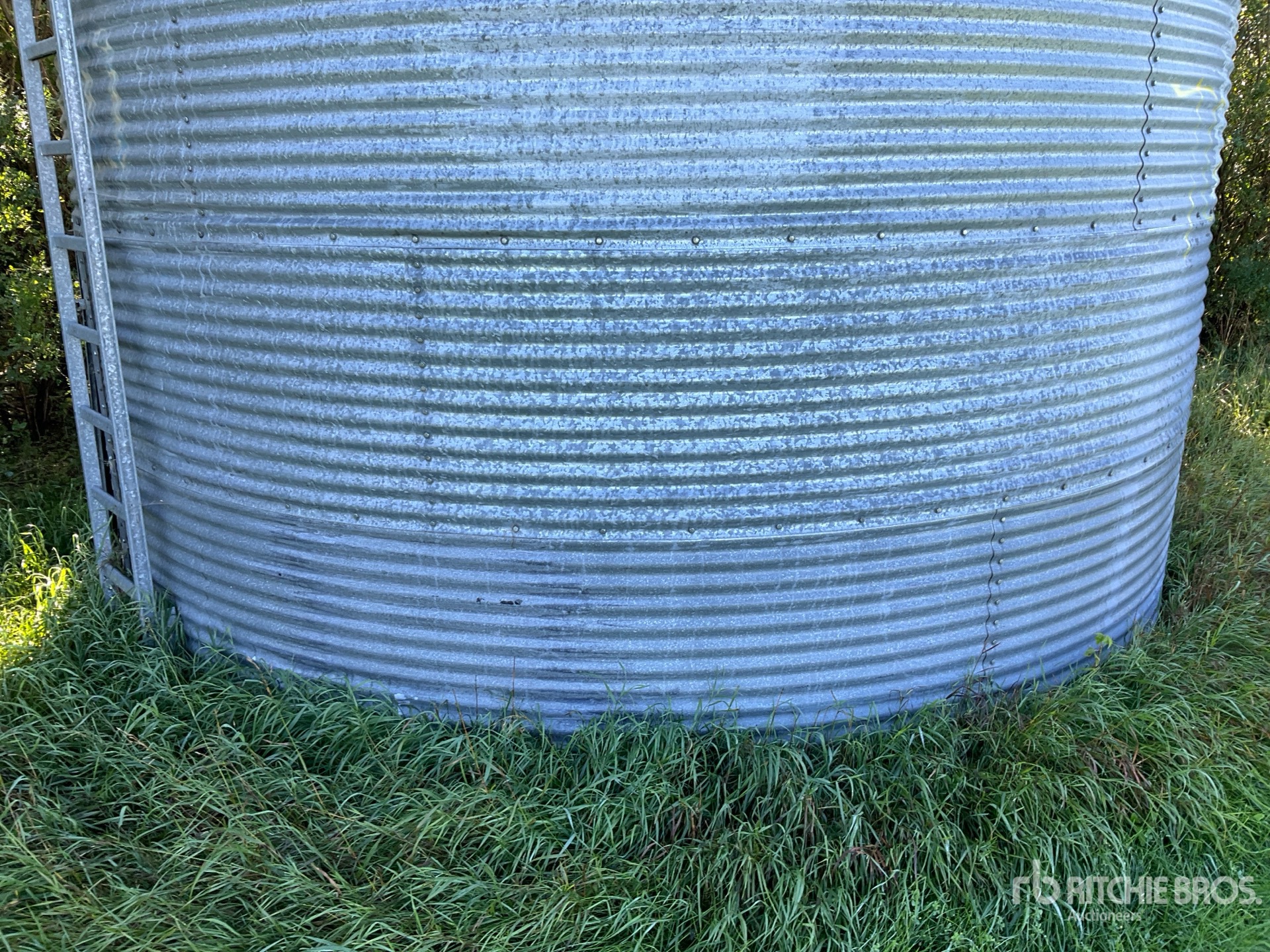 Westland +/- 3000 bu 6 Ring