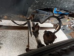 4 Underbody - Truck with