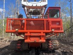 General Appearance with Paint