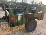 General Appearance with Paint