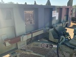 General Appearance with Paint