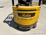 General Appearance with Paint