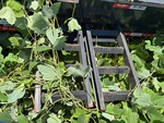 Trailer Chassis with Ramps