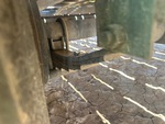 Trailer Chassis with Springs/Hangers Condition