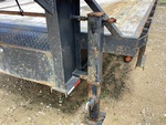 General Appearance with Paint