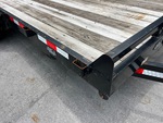 General Appearance with Paint