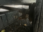 Trailer Chassis with Springs/Hangers Condition