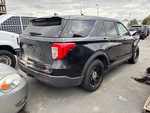 Picture, Right Rear Corner