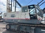 General Appearance with Paint