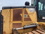 General Appearance with Paint