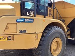 General Appearance with Paint
