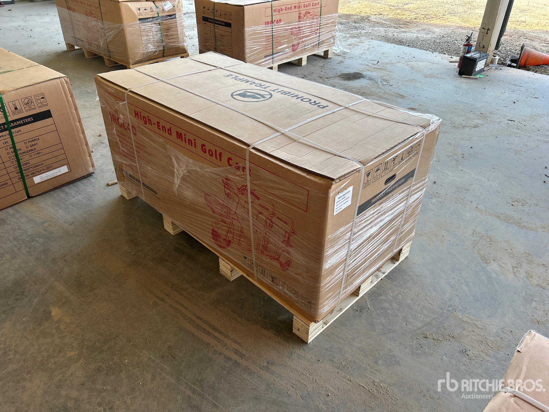 General Appearance with Picture, Right Rear Corner