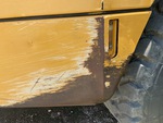 General Appearance with Paint