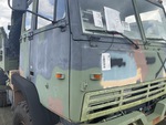 General Appearance with Paint