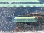 General Appearance with Frame Stamp Serial Number/VIN Photo